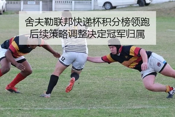 舍夫勒联邦快递杯积分榜领跑 后续策略调整决定冠军归属
