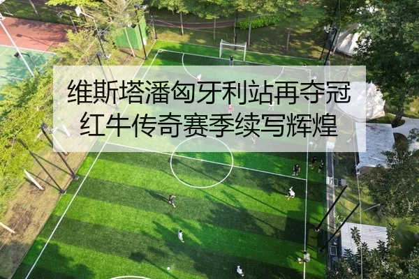 维斯塔潘匈牙利站再夺冠 红牛传奇赛季续写辉煌
